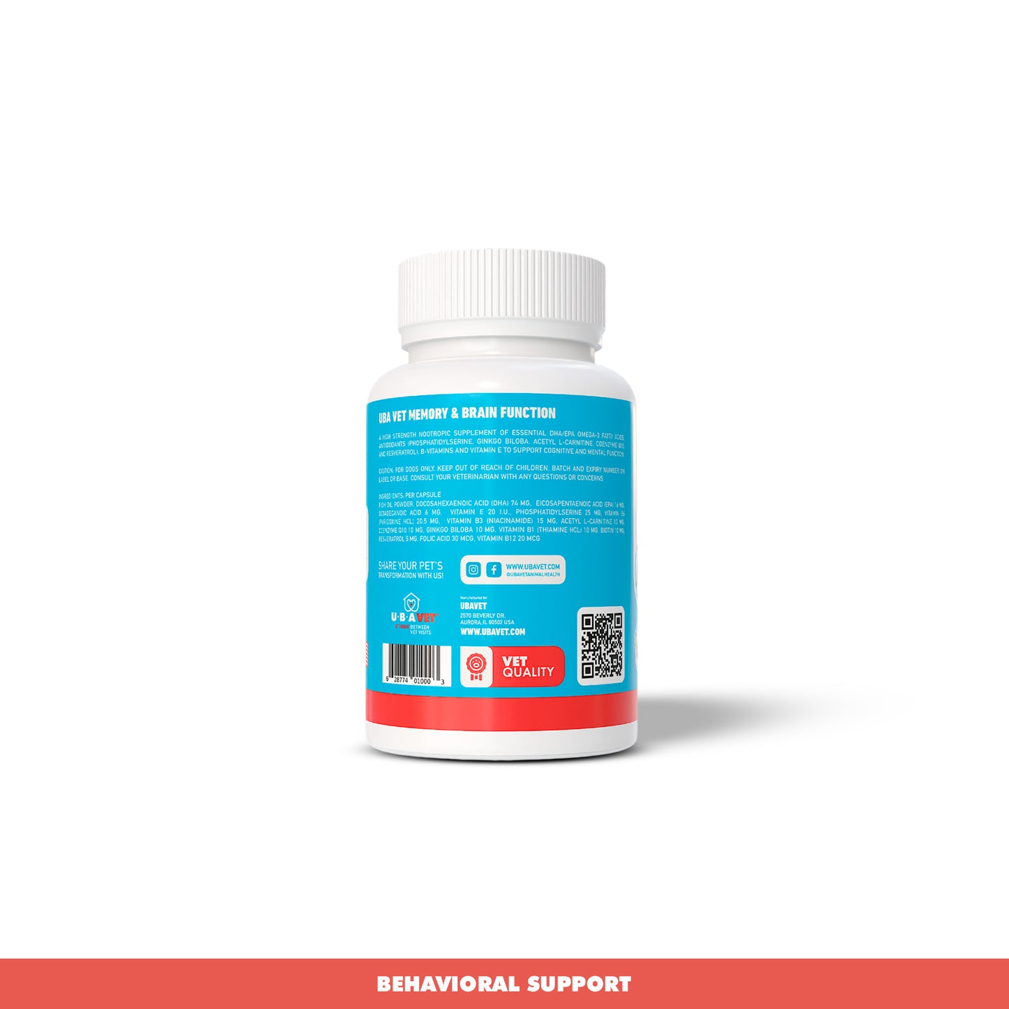 memory and brain support supplement for senior dogs
