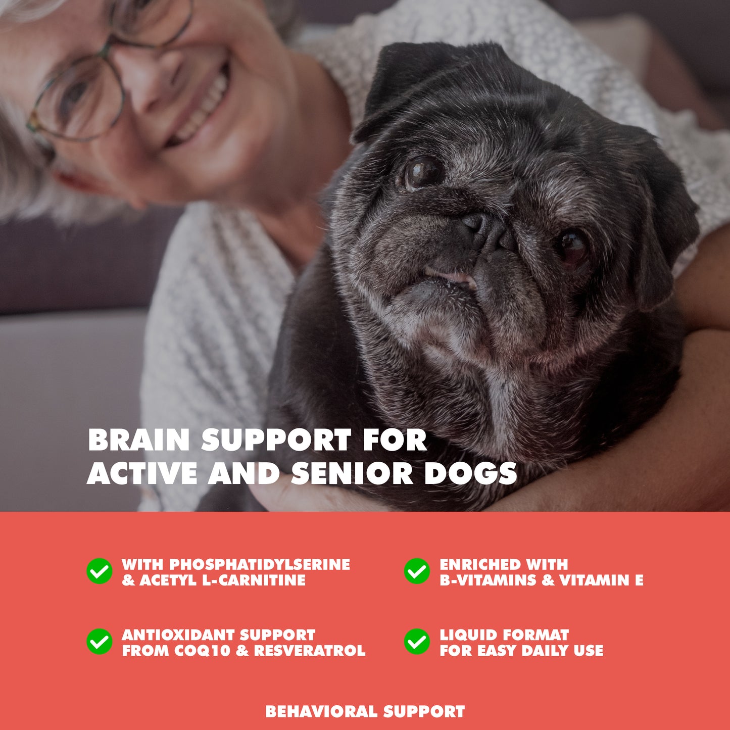 memory and brain support supplement for senior dogs