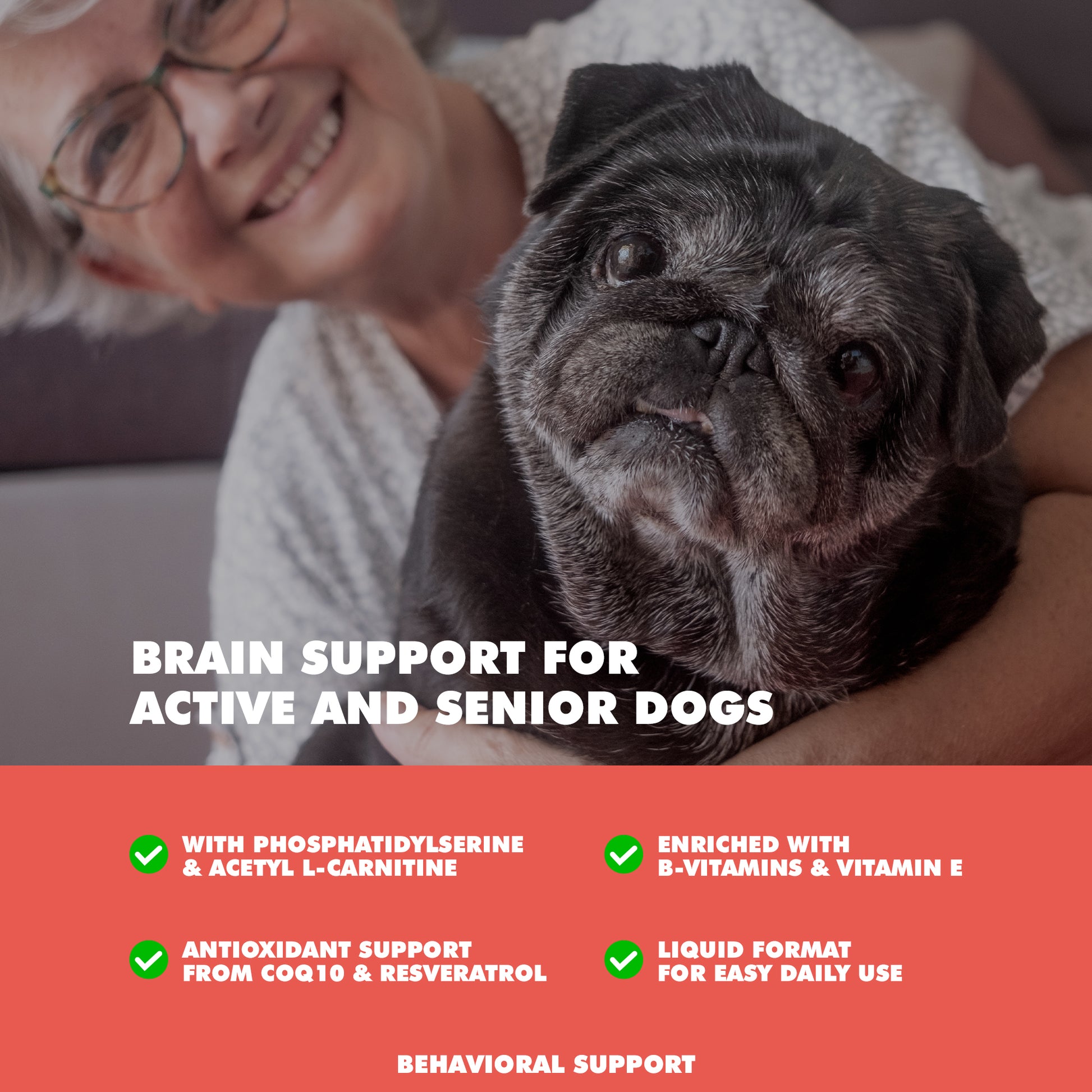 memory and brain support supplement for senior dogs