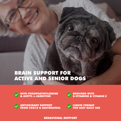 memory and brain support supplement for senior dogs