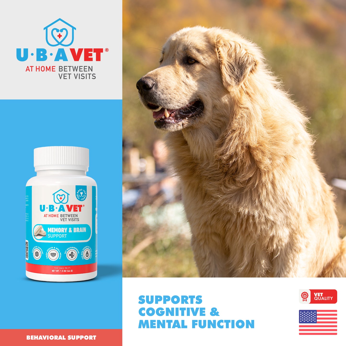memory and brain support supplement for senior dogs