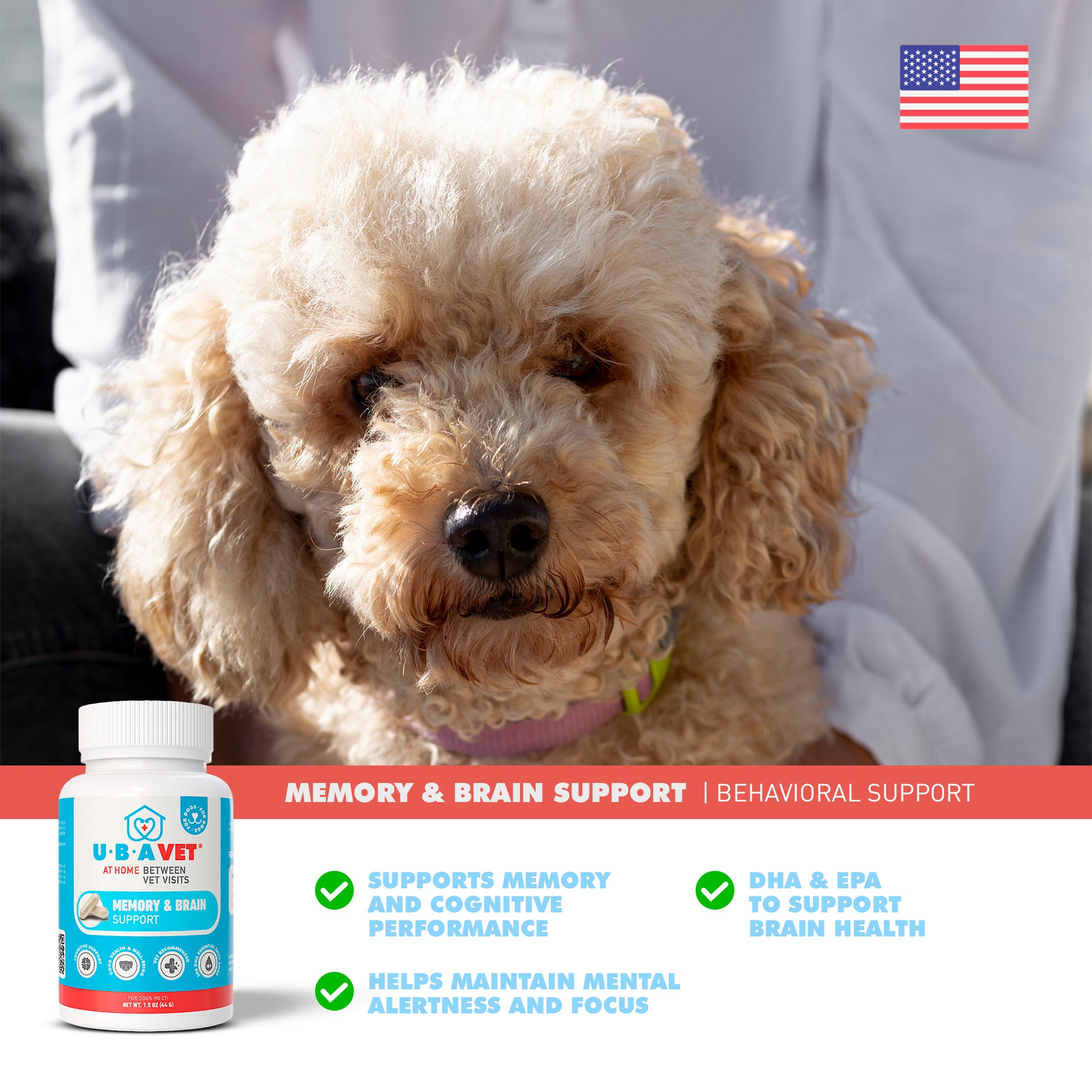 memory and brain support supplement for senior dogs