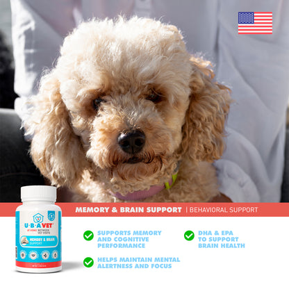 memory and brain support supplement for senior dogs