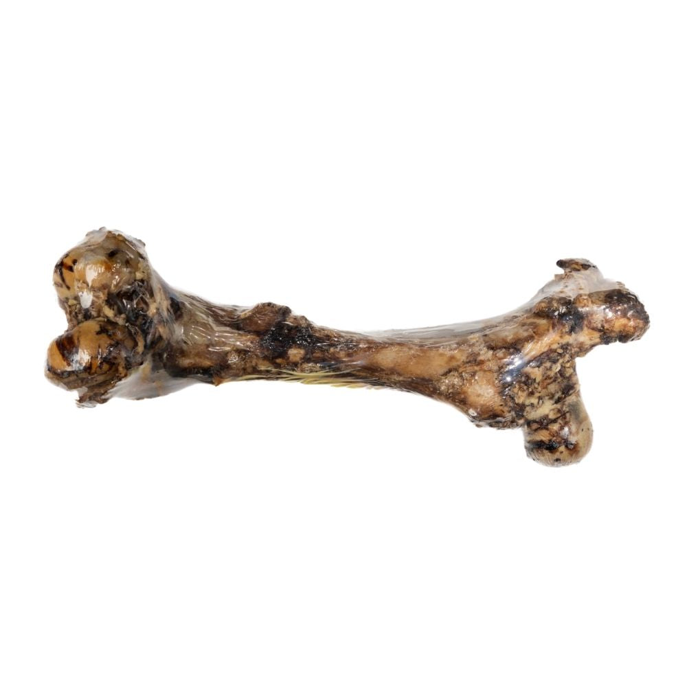 Whole femur bone long-lasting dog chew
