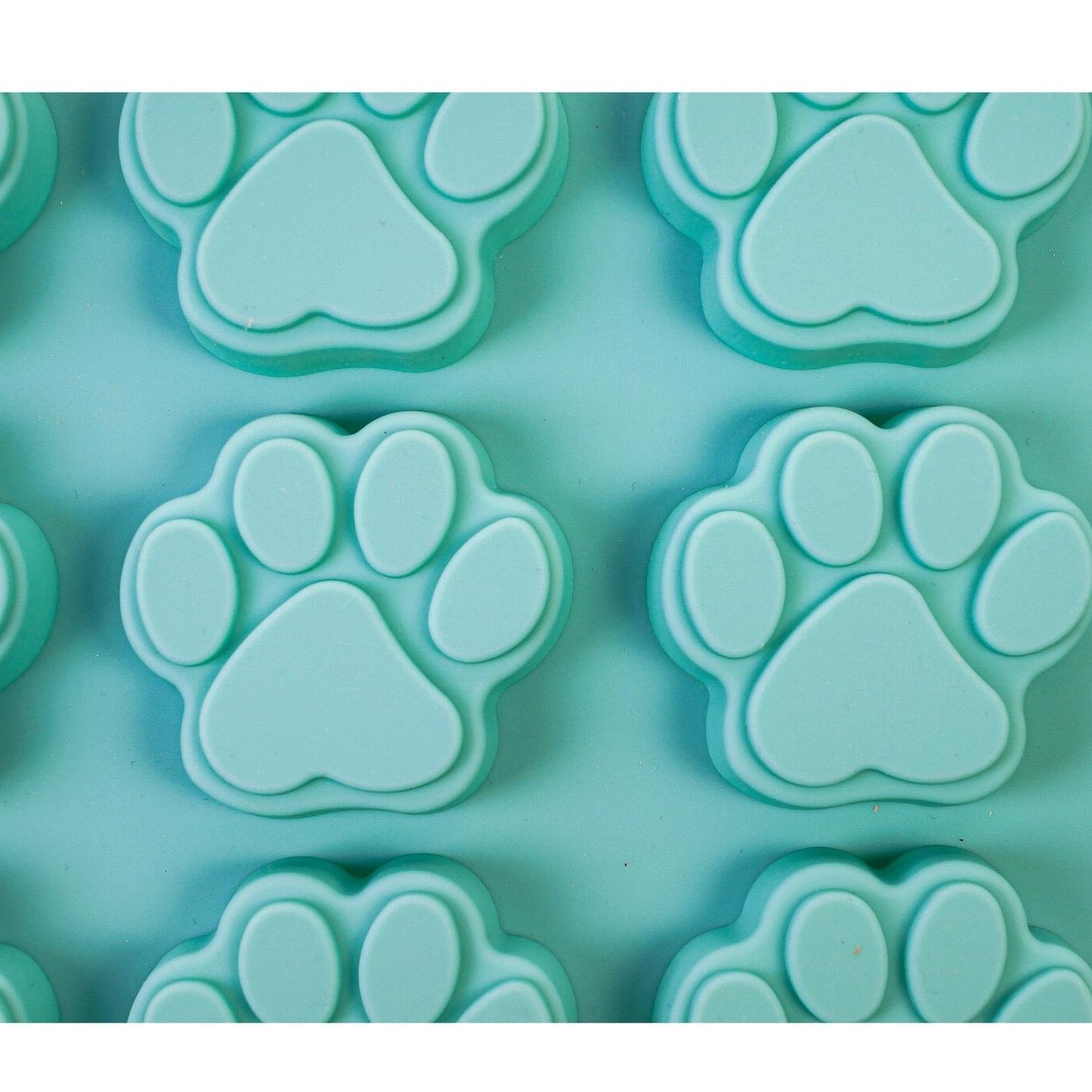 Set of 2 Pet Treat Baking Tray- Freeze, Bake, Microwave (Bones & Paws)