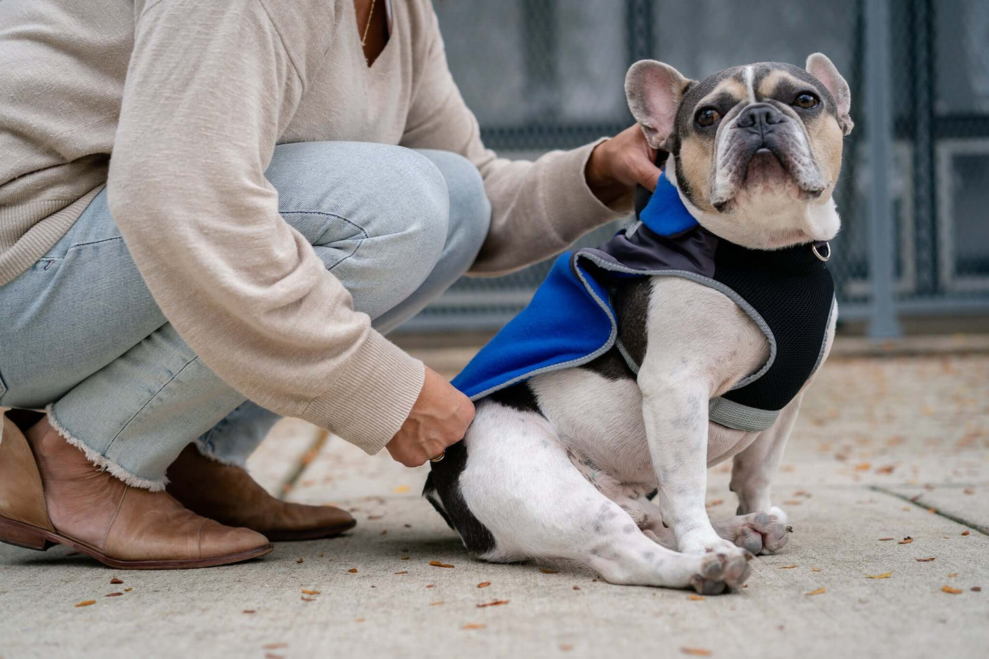 2-in-1 Thermal Dog Fleece Jacket with Removable Harness, Reflective Safety Piping – Royal Blue