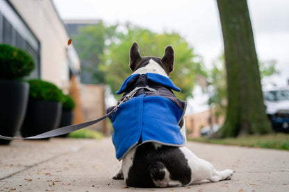 2-in-1 Thermal Dog Fleece Jacket with Removable Harness, Reflective Safety Piping – Royal Blue